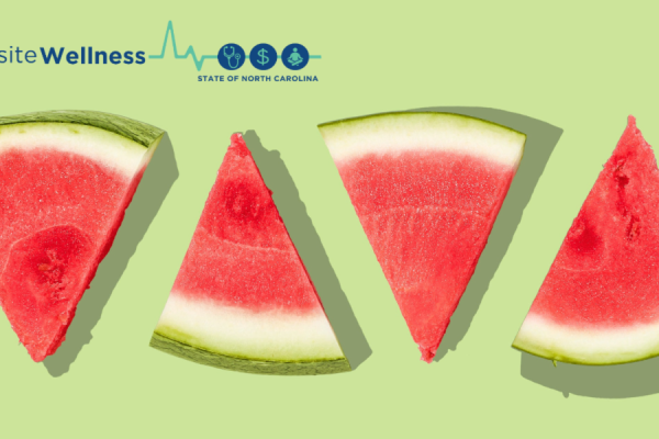 4 triangle watermelon slices