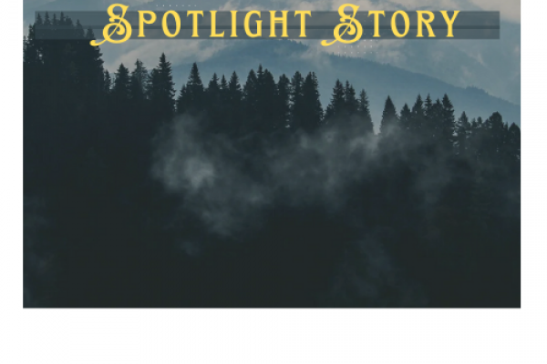 Foggy Mountain with Spotlight Story in Gold Letters